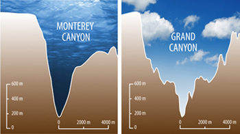 Comparison of the depth and width of the Monterey Canyon and the Grand Canyon